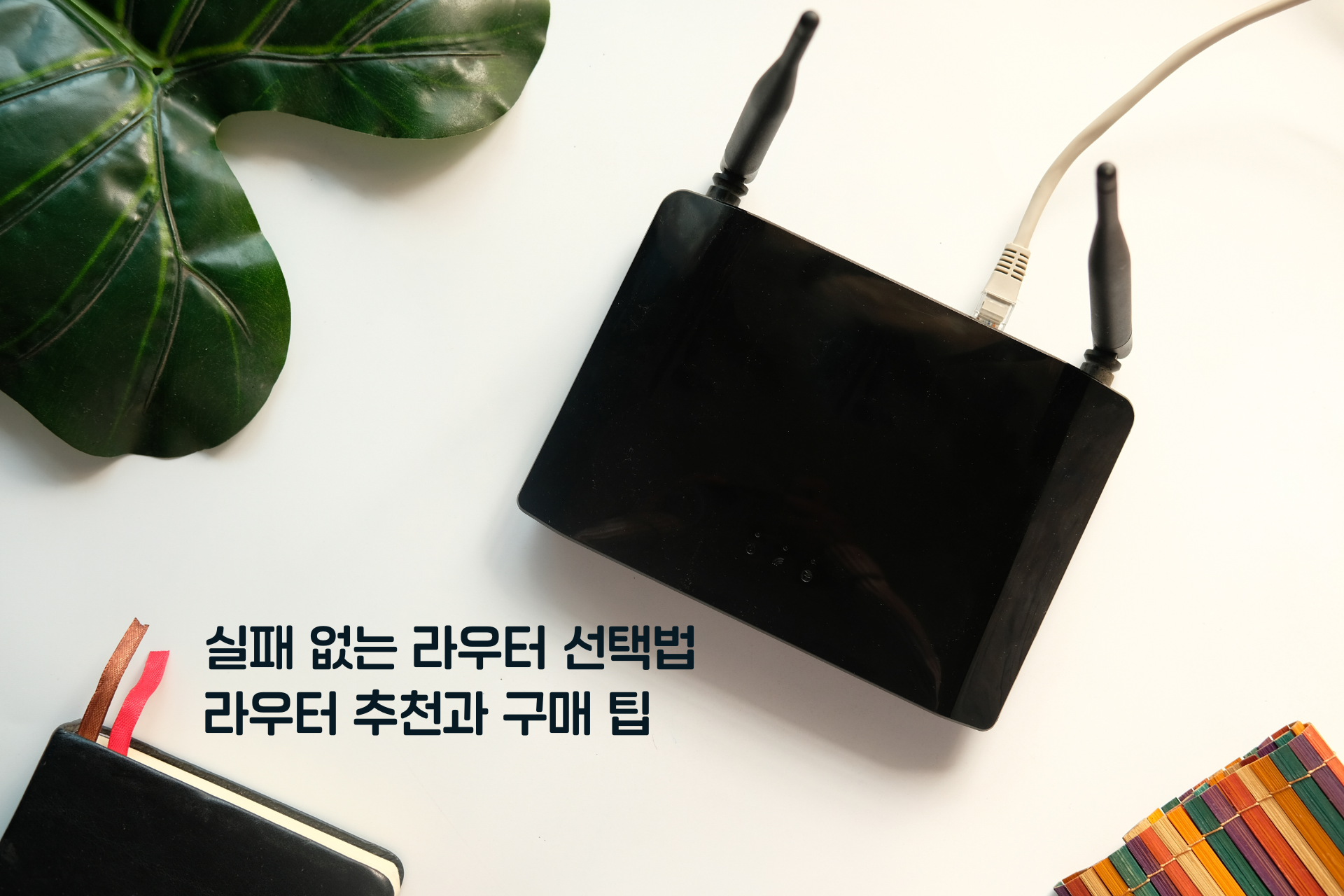 에그라우터 썸네일 (1)